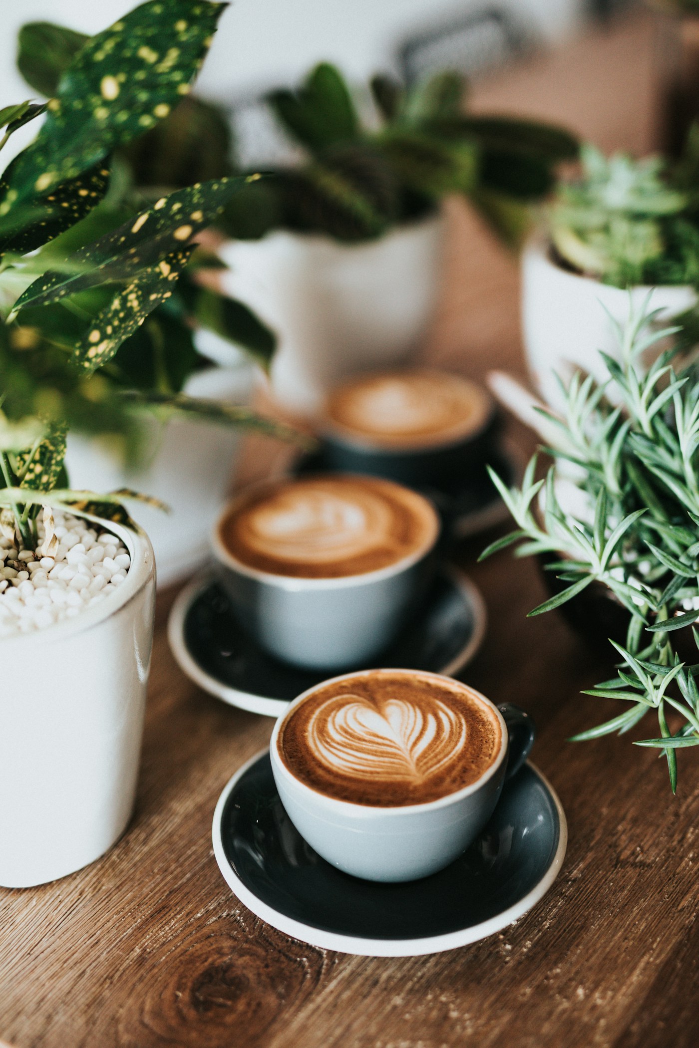 Barista hands preparing an espresso